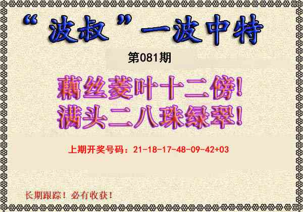 081期波叔一波中特[图]